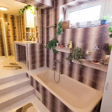 Friendly House In Bořetice