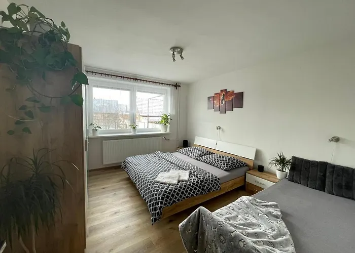 Friendly House In *