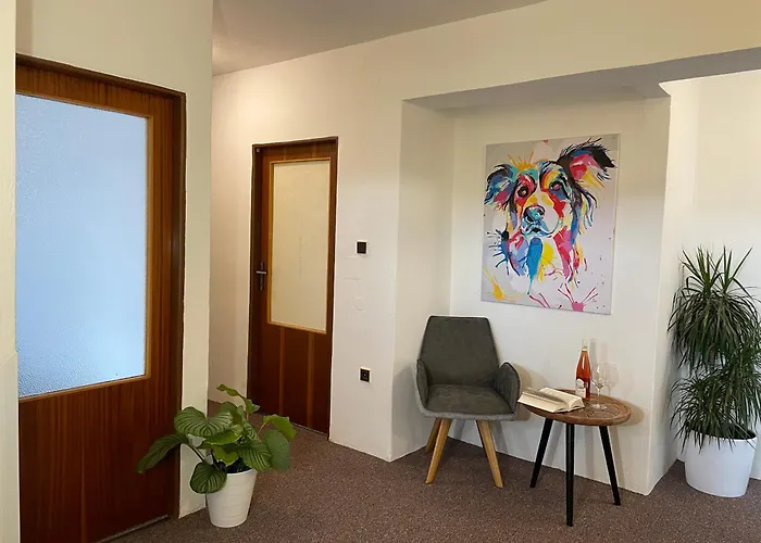 Friendly House In Bořetice