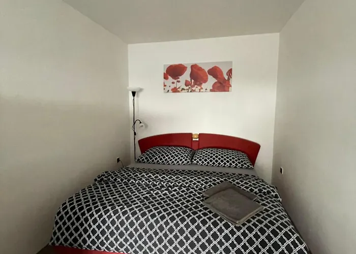 Friendly House In Bořetice